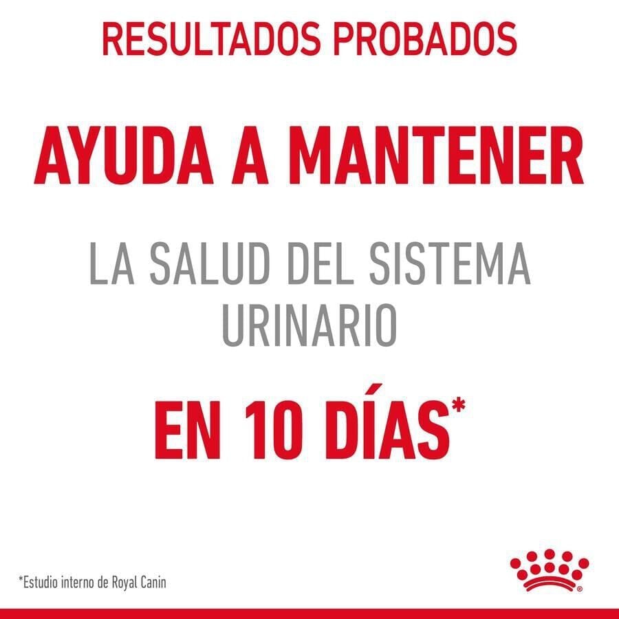 10 kg Royal Canin Urinary pienso para gatos, , large indicador imagen numero 5