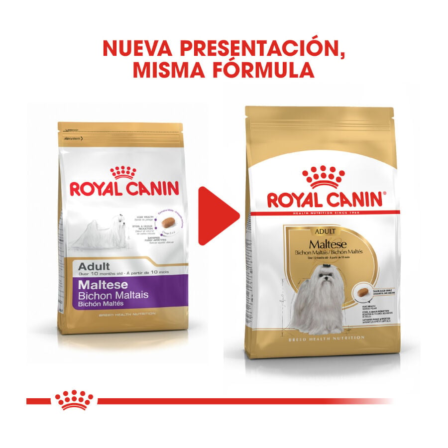 1.5 kg Royal Canin Adult Bich&oacute;n Malt&eacute;s pienso para perros, , large indicador imagen numero 3