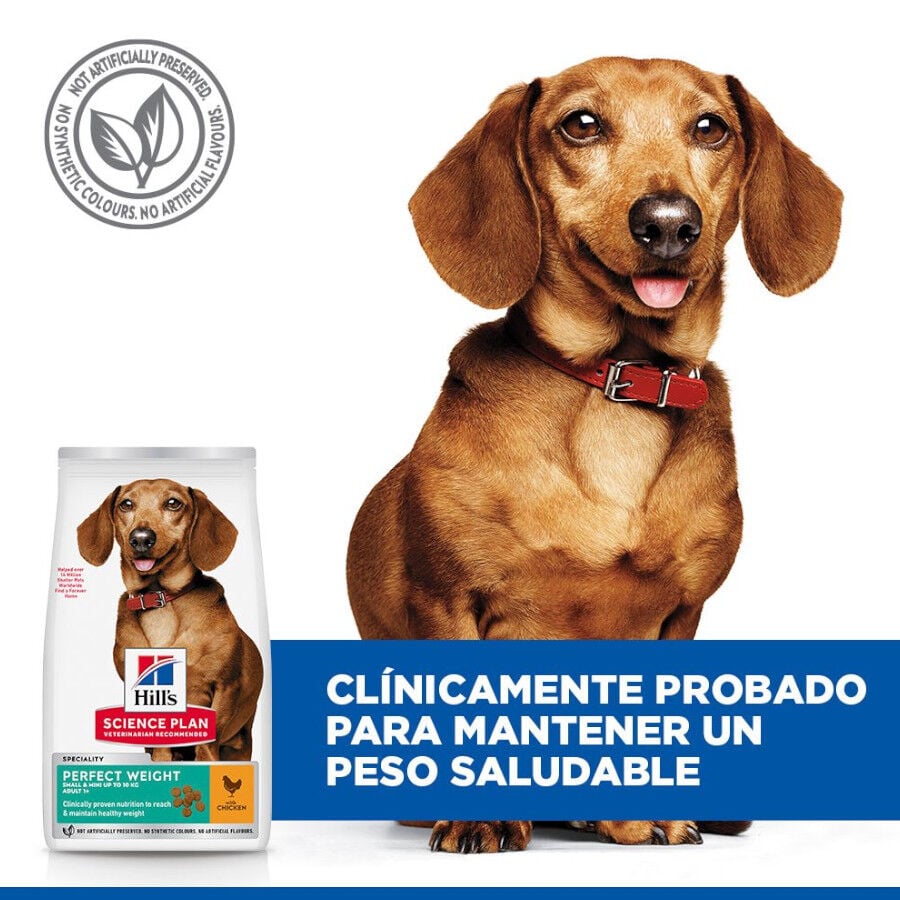 6 kg Hill's Science Plan Perfect Weight Adult Small y Mini pienso para perros, , large Imagen numero 6