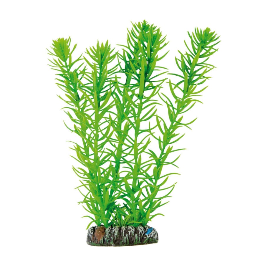 ICA Aquatic Plants Egeria planta artificial para acuarios