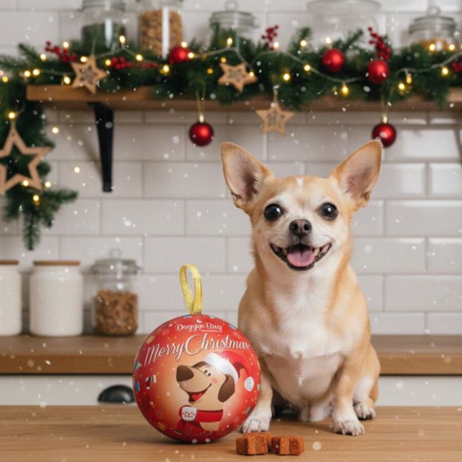 90 g DoggyeBag Bola de Navidad con snacks para Perros, , large Imagen numero 2