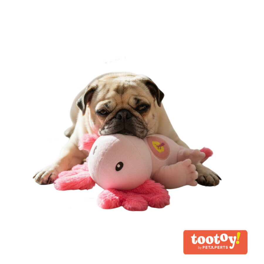 Tootoy! Ajolote Mordedor de Peluche con Sonido para perros