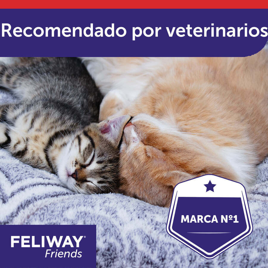 Feliway Friends Difusor para gatos, , large Imagen numero 6