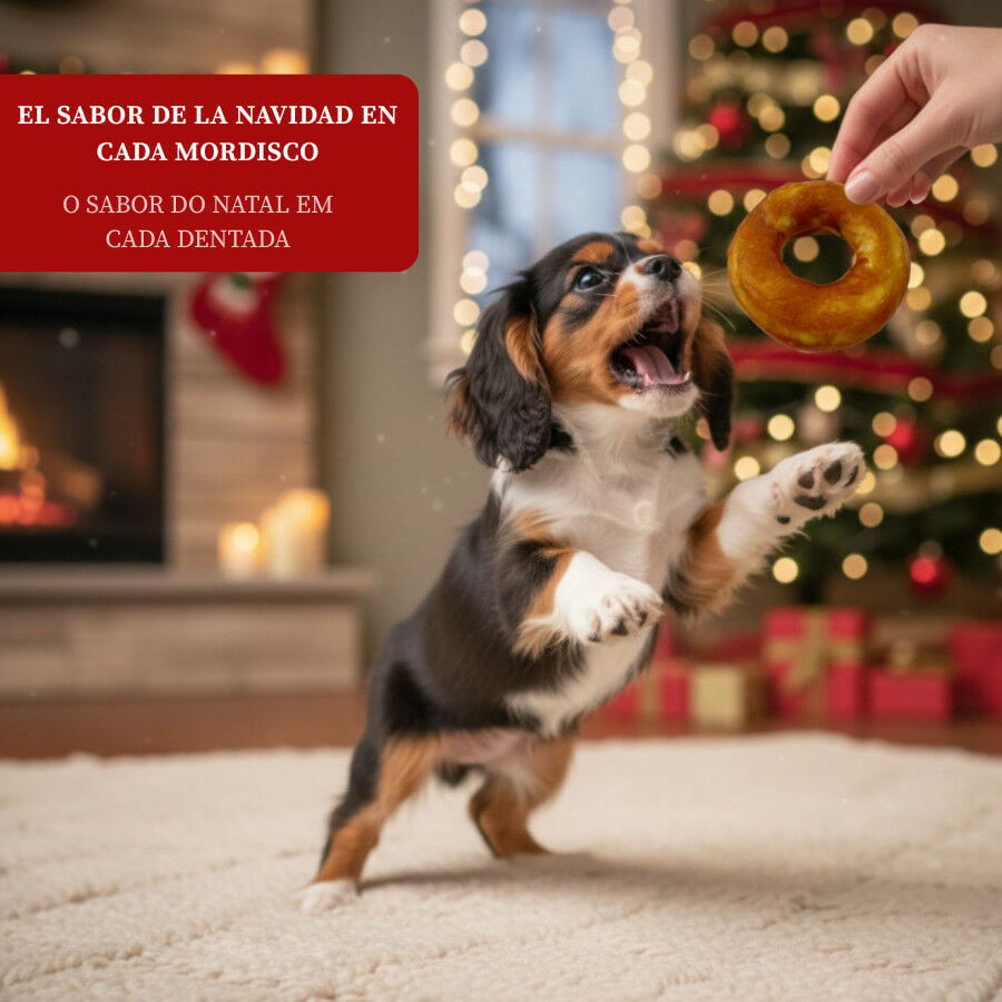 130 g Wonder Christmas Donut para perros, , large indicador imagen numero 4