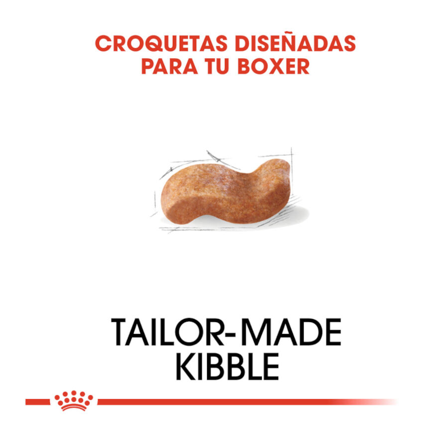 12 kg Royal Canin Adult Boxer pienso para perros, , large indicador imagen numero 5