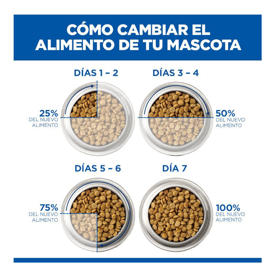 6 kg Hill's Science Plan Perfect Weight Adult Small y Mini pienso para perros, , large indicador imagen numero 6