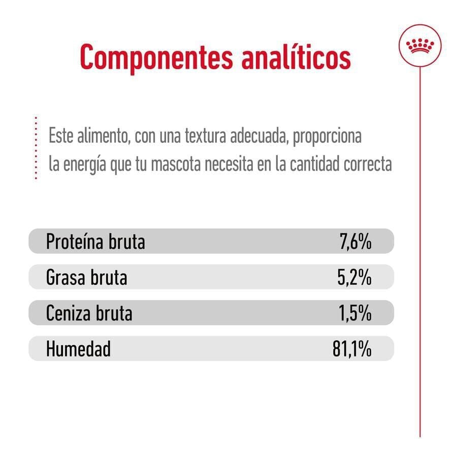 85 g Royal Canin Mini Adult sobre en salsa para perros, , large indicador imagen numero 6