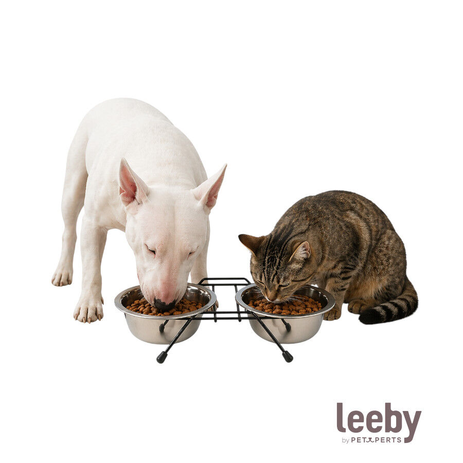 Leeby Comedero Doble de Acero Inoxidable con Soporte para perros y gatos