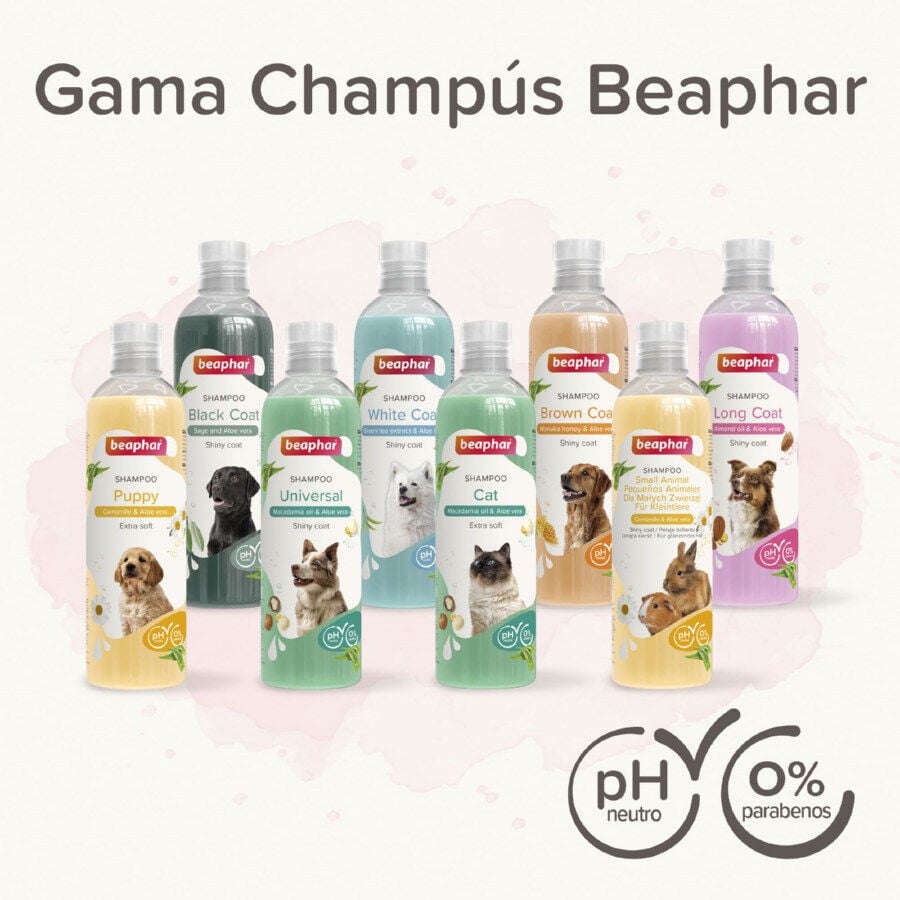 Beaphar Extra Soft Champ&uacute; para cachorros, , large indicador imagen numero 7