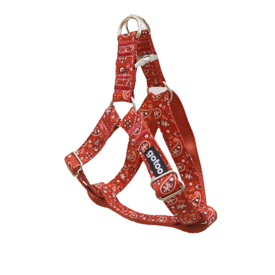 Gotoo Arn&eacute;s estampado cachemira rojo para perros, , large indicador imagen numero 1