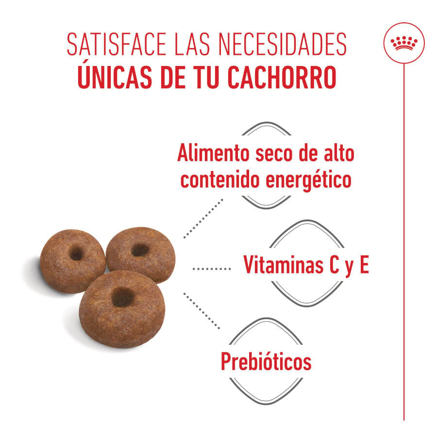 15 kg Royal Canin Starter Puppy Giant Pienso para perros, , large indicador imagen numero 4