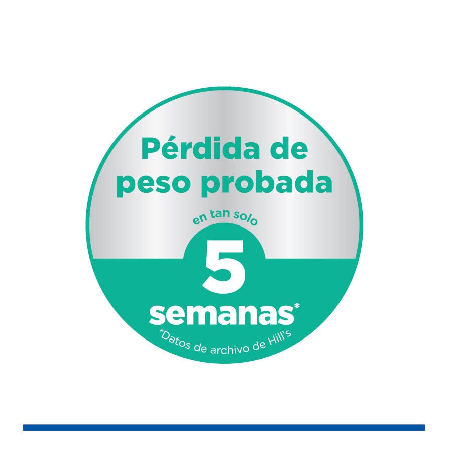 12 kg Hill's Science Plan Perfect Weight Adult Medium Pollo pienso para perros, , large Imagen numero 5