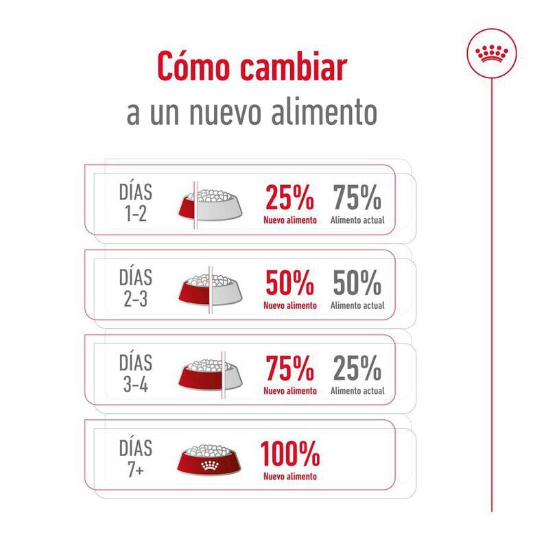 1.5 kg Royal Canin X-Small Ageing 12+ Adult pienso para perros&nbsp;senior, , large indicador imagen numero 11