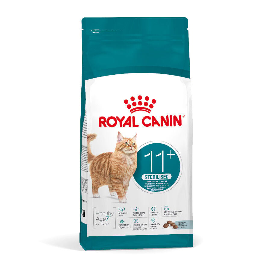 4 kg Royal Canin Ageing 11+ Sterilised pienso para gatos&nbsp;senior, , large Imagen numero 1