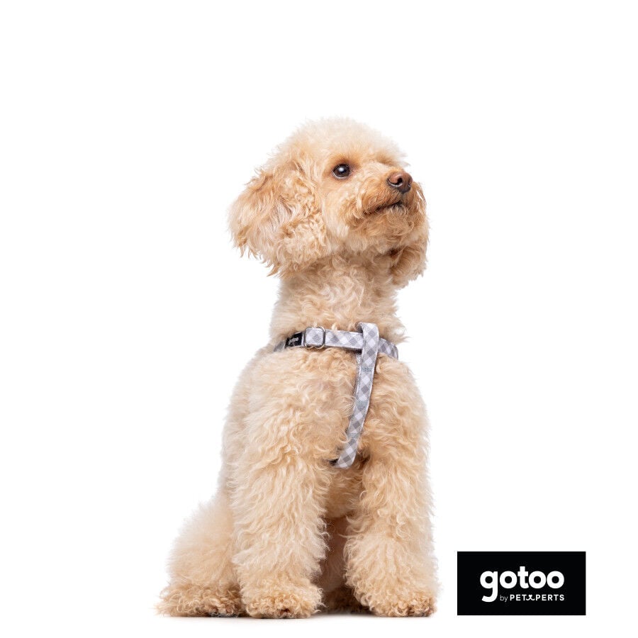 Gotoo Arn&eacute;s estampado cuadro vichy gris para perros, , large Imagen numero 4