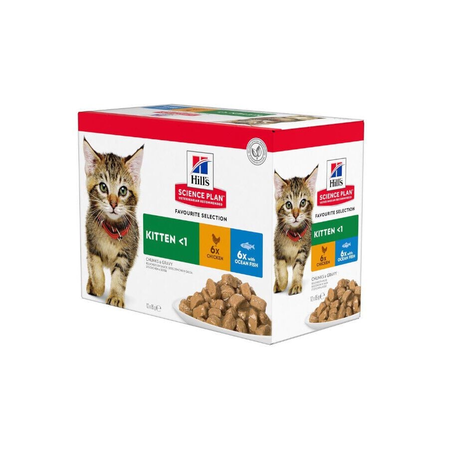 12 sobres x 85 g Hill's Science Plan Kitten Pollo y Pescado sobre para gatos , , large indicador imagen numero 1
