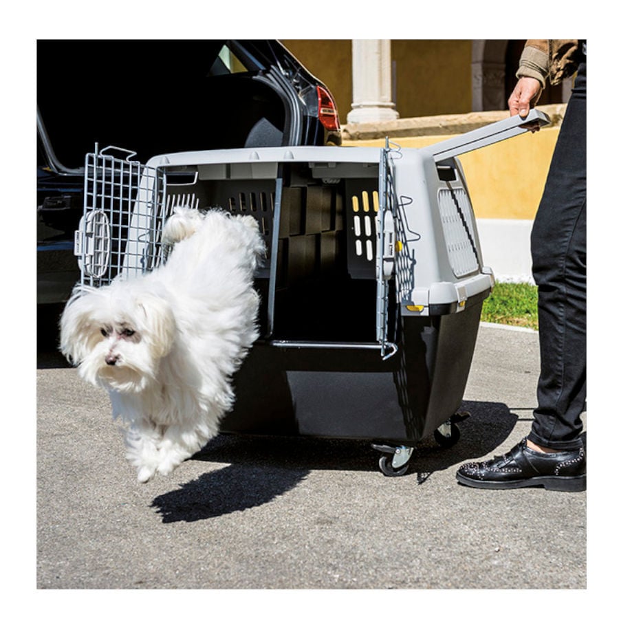 Stefanplast Gulliver Touring Transport&iacute;n para perros, , large Imagen numero 3