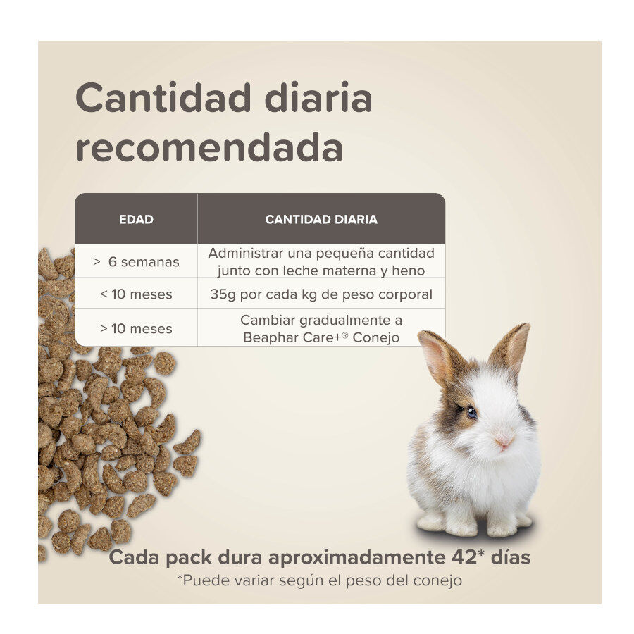 Beaphar Care + Junior Pienso para conejo junior, , large indicador imagen numero 7