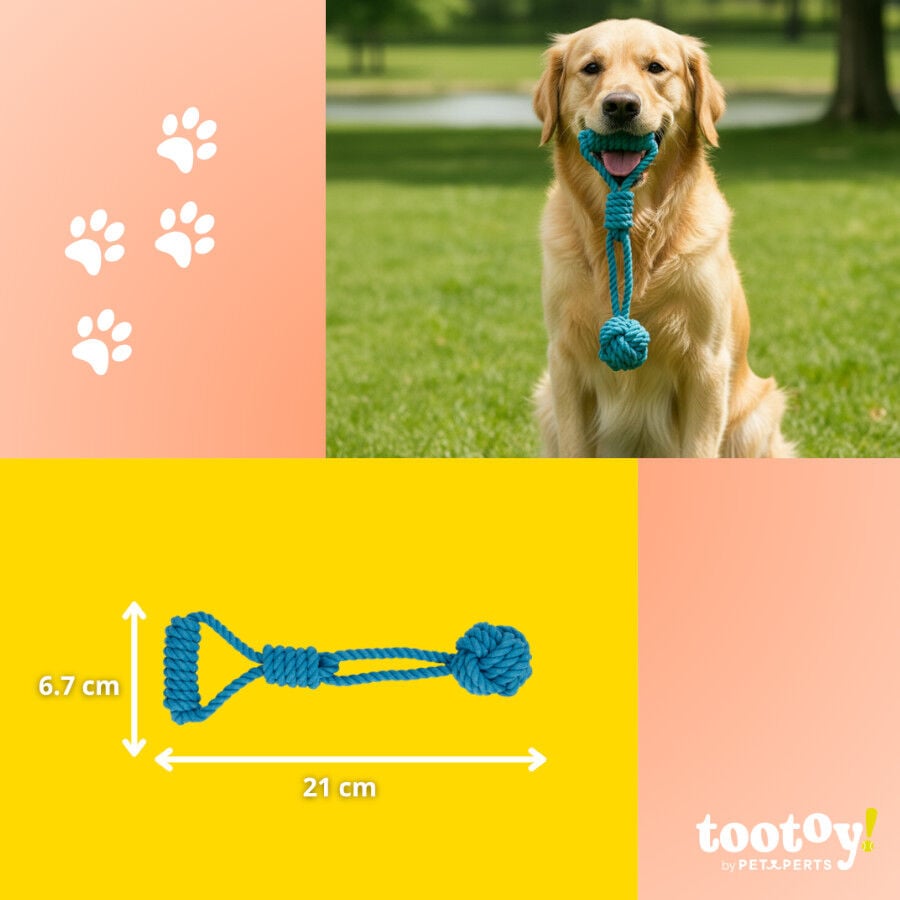 Tootoy! Modedor para Tirar de Cuerda con Pelota Azul para perros, , large indicador imagen numero 4