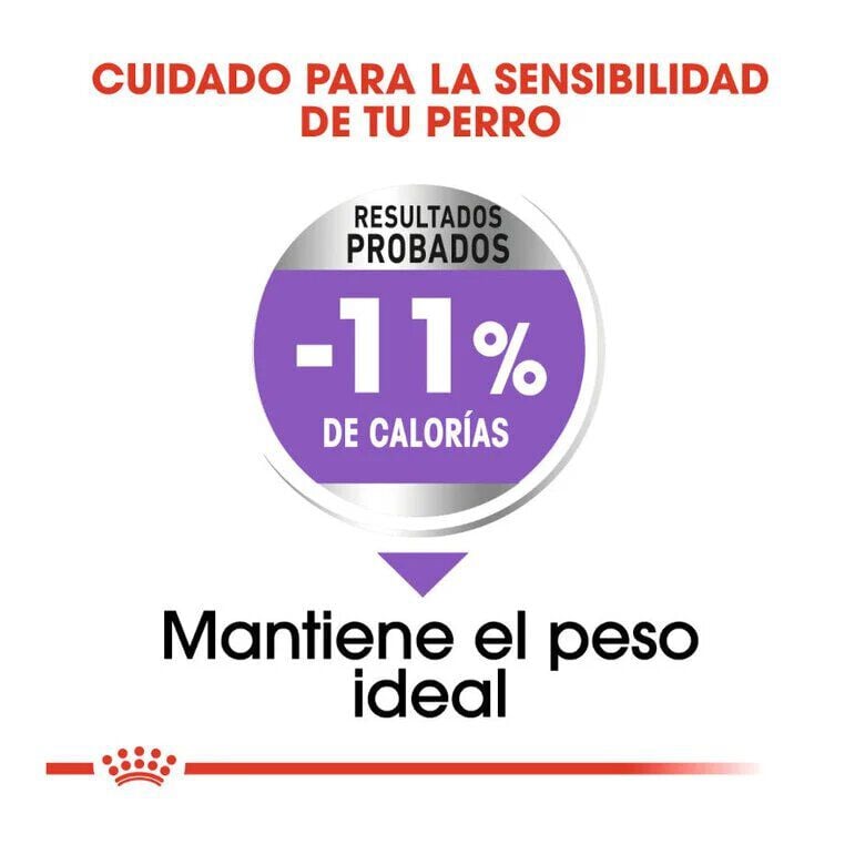 1.5 kg Royal Canin X-Small Sterilised pienso para perros, , large indicador imagen numero 6