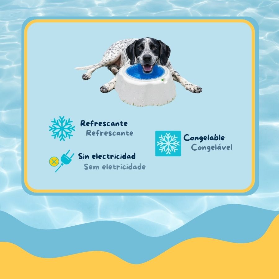Summer Vibes Bowl Refrescante Comedero y Bebedero para perros, , large indicador imagen numero 3