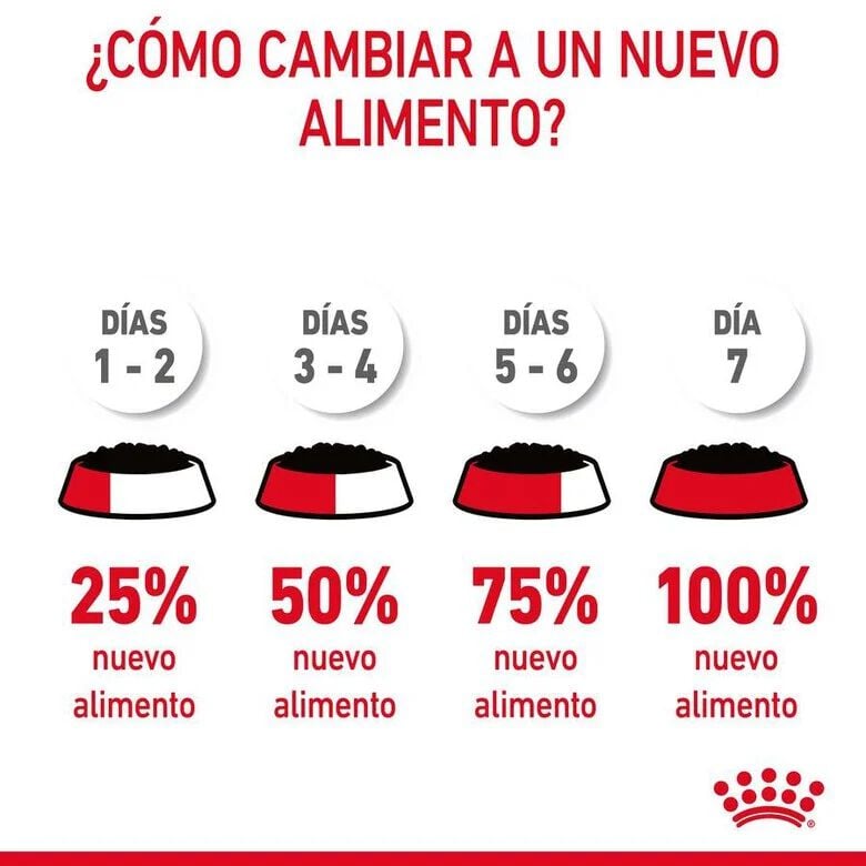85 g Royal Canin Hair and Skin sobre en salsa para gatos, , large indicador imagen numero 11