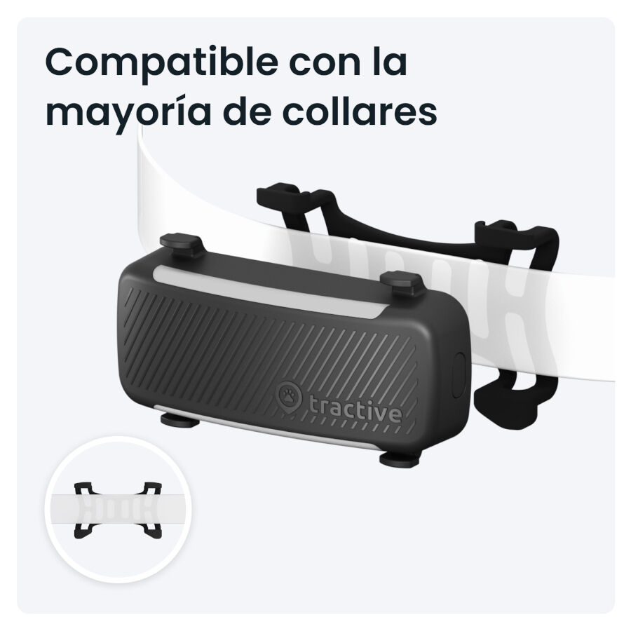 Tractive GPS Dog 6 Negro Rastreador para perros, , large Imagen numero 3