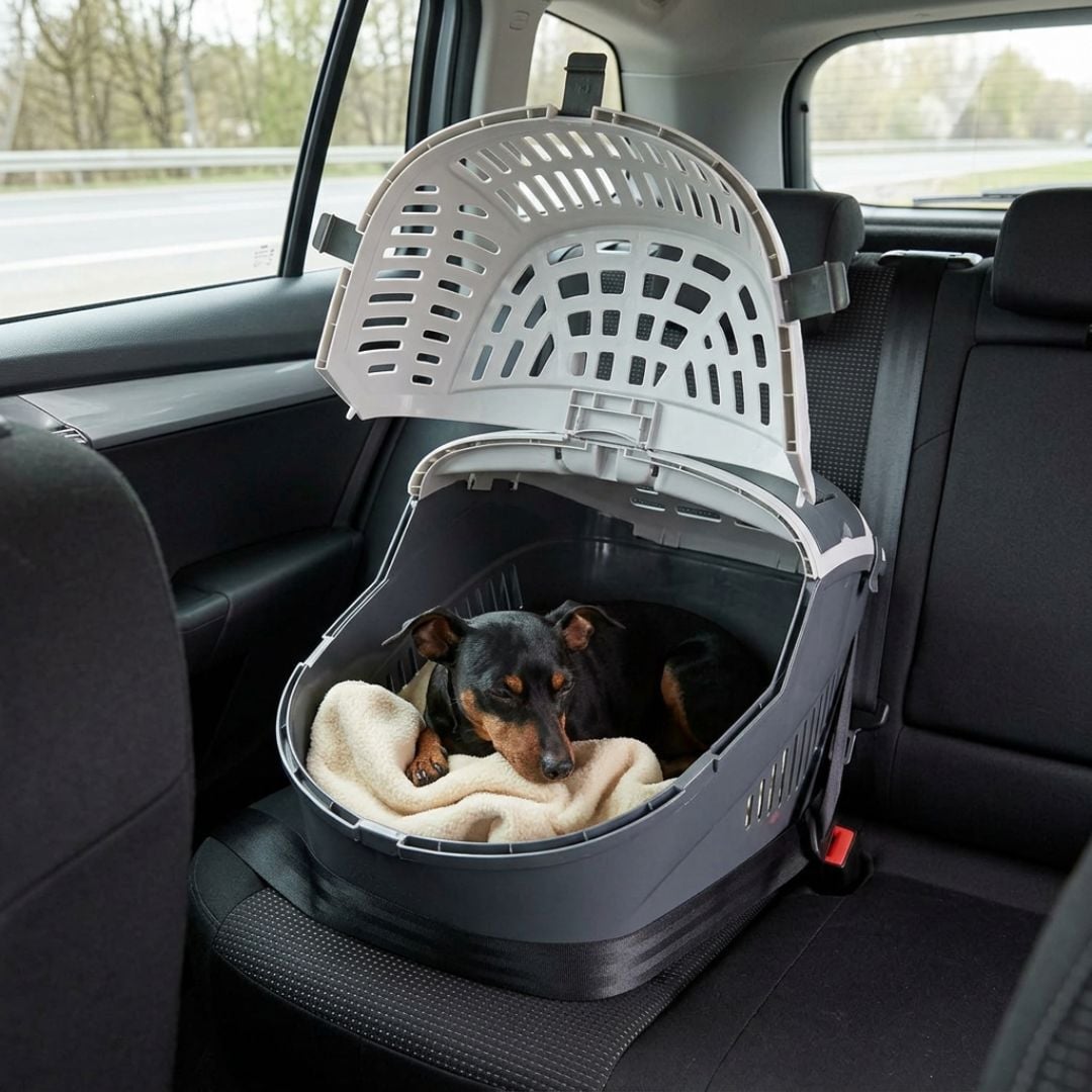 Outech Neila Transport&iacute;n especial coche para perros y gatos, , large indicador imagen numero 1