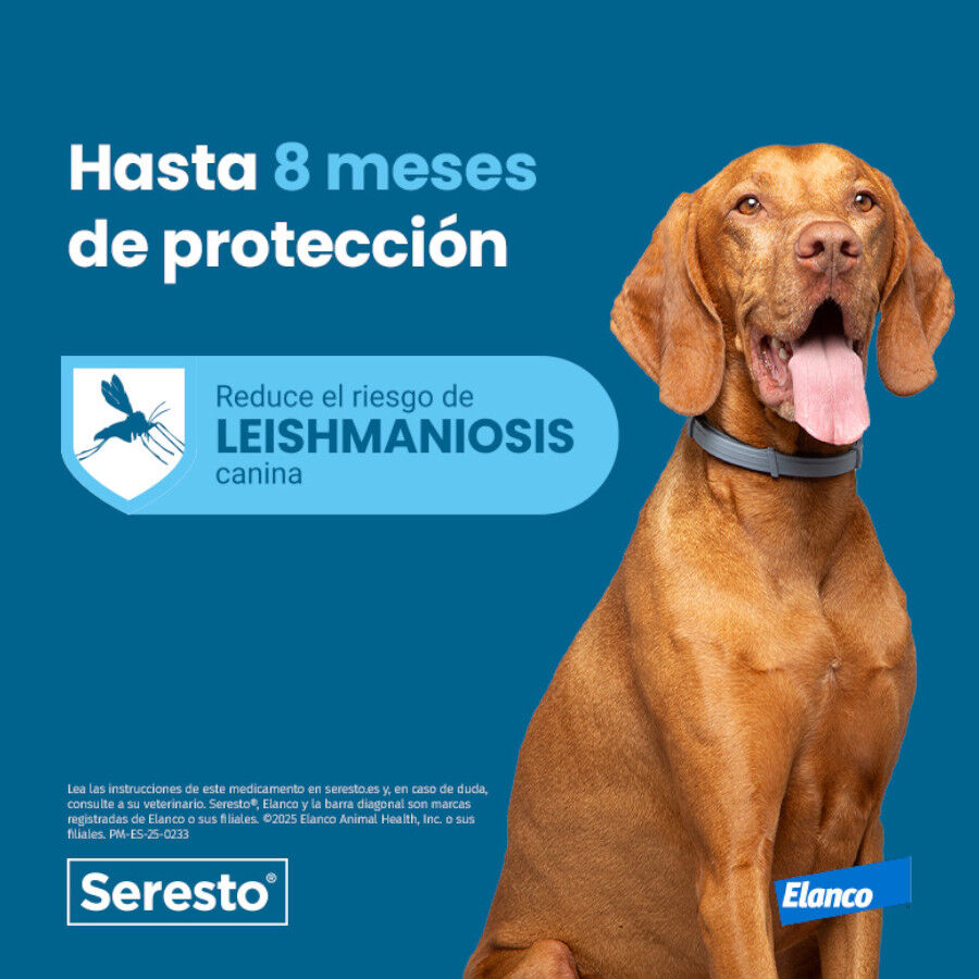2 collares x 38 cm Seresto Collar Antiparasitario para perros - Pack, , large indicador imagen numero 6