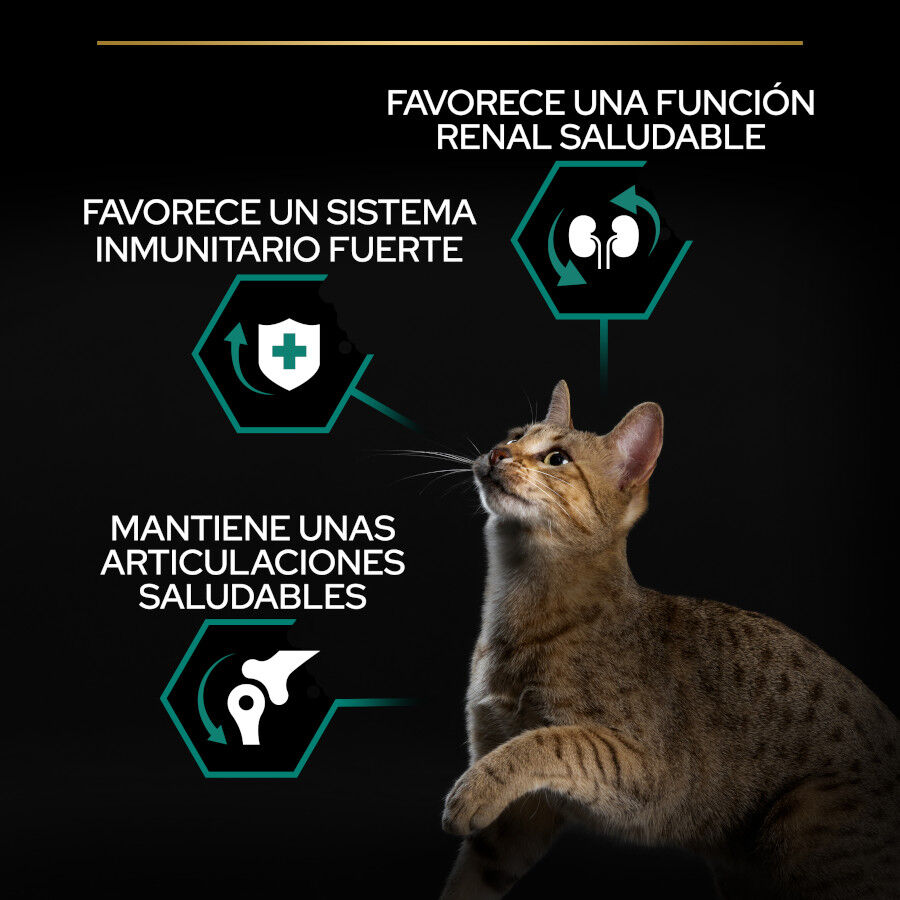 10 kg Pro Plan Adult Renal Plus Pollo Pienso para gatos, , large indicador imagen numero 3