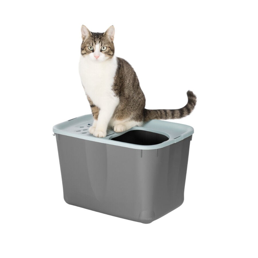 Nice Care Eco Arenero Micia Azul para gatos, , large indicador imagen numero 1