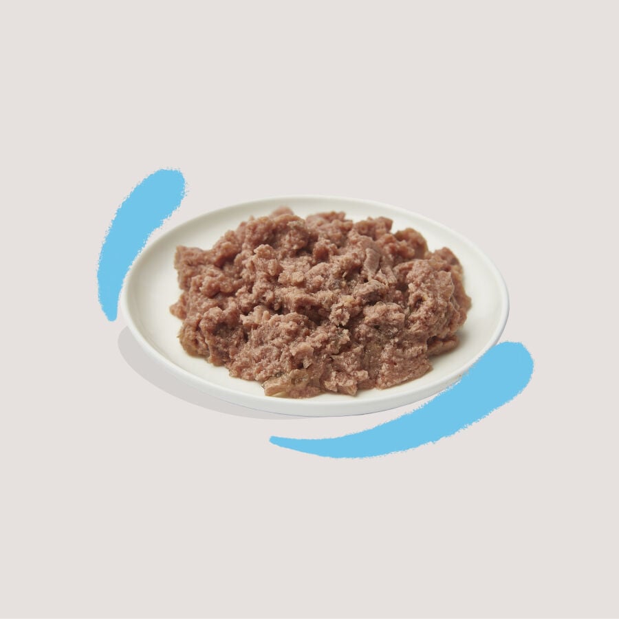 85 g Edgard & Cooper Kitten Bacalao y Pollo en Pat&eacute; tarrina para gatos&nbsp;, , large Imagen numero 3