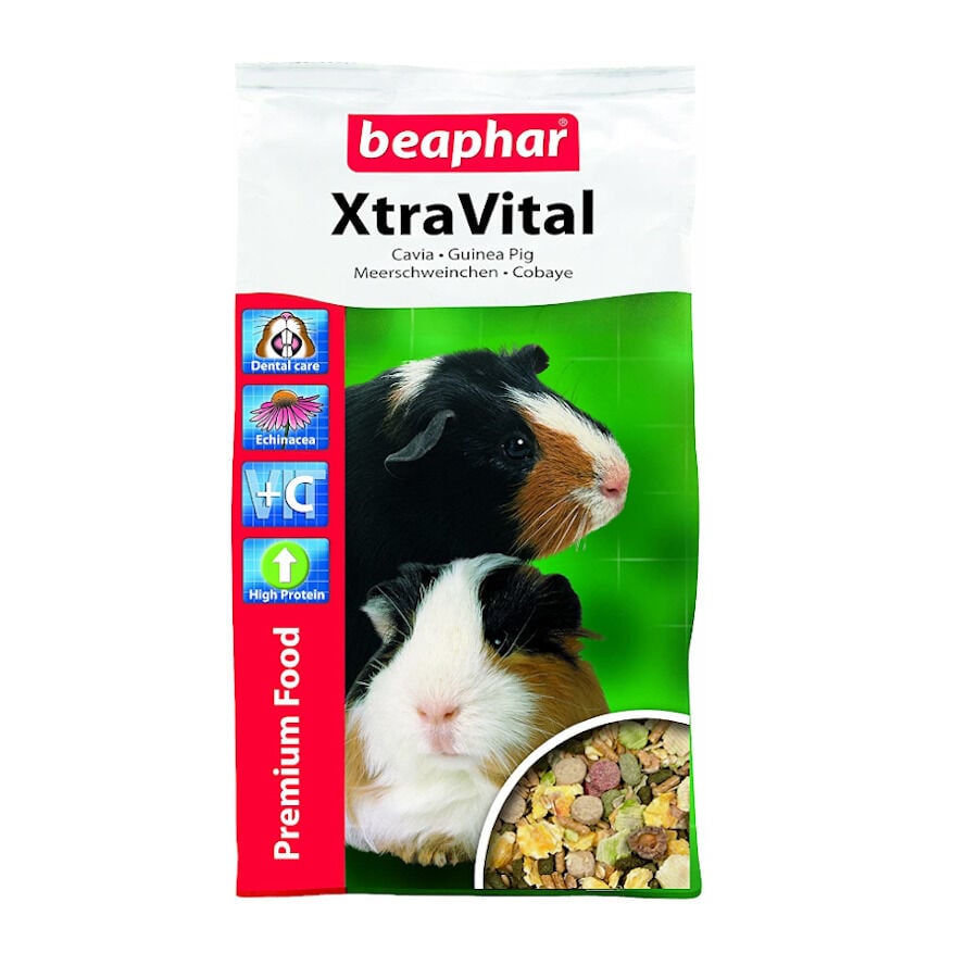 Beaphar Xtravital pienso para cobayas, , large Imagen numero 1