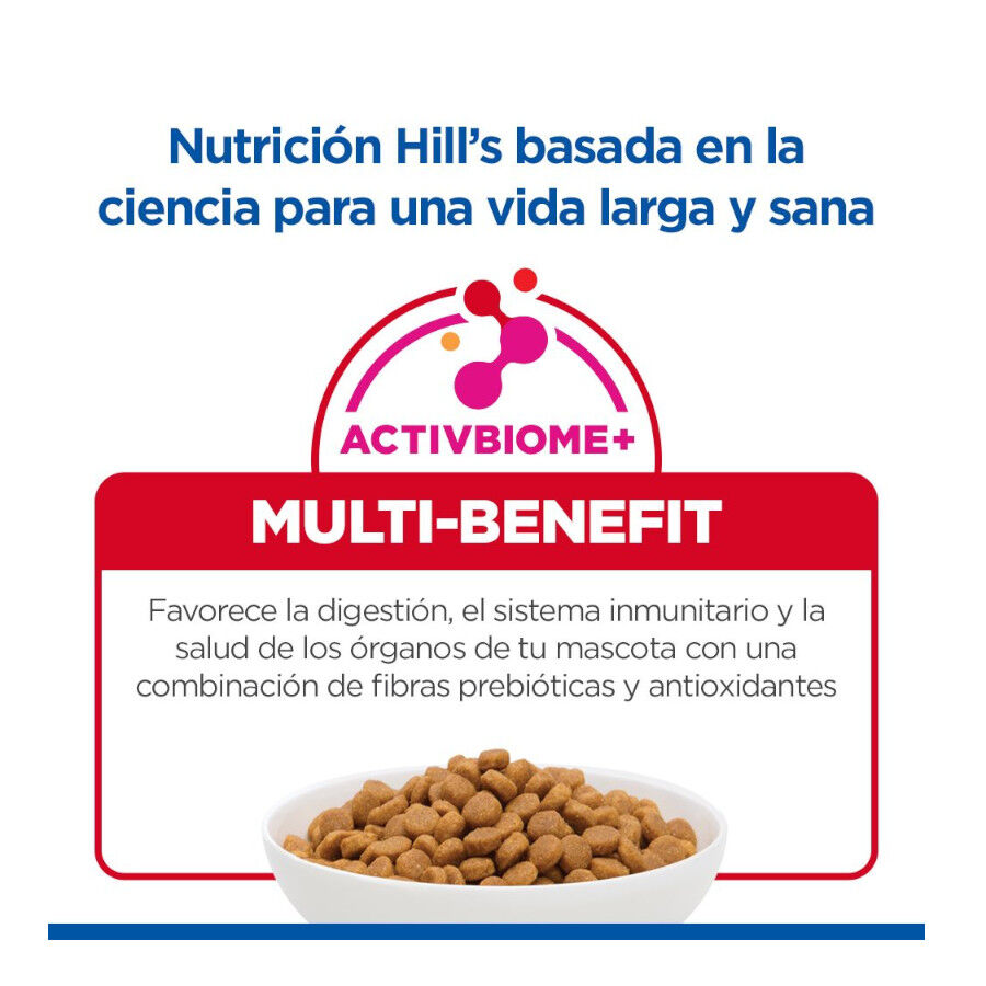 10 kg Hill's Science Plan Adult Pienso Salm&oacute;n para gatos, , large Imagen numero 7