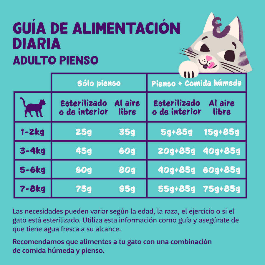 4 kg Edgard & Cooper Adult Salm&oacute;n pienso para gatos, , large Imagen numero 5