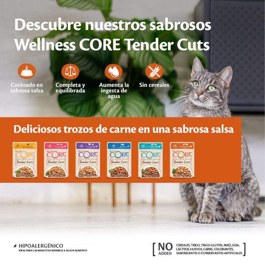 85 g Wellness Core Tender Cuts pollo y salm&oacute;n sobre en salsa para gatos, , large Imagen numero 3