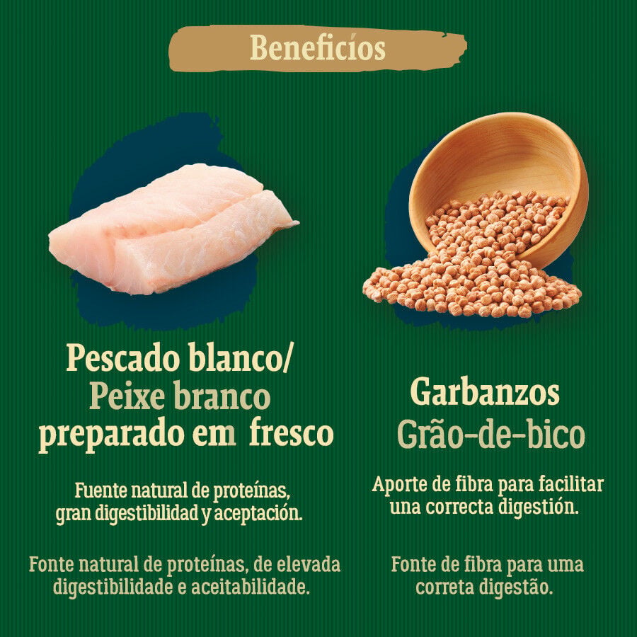 True Origins Wild Golden Coast con Pescado blanco pienso para perros, , large indicador imagen numero 5