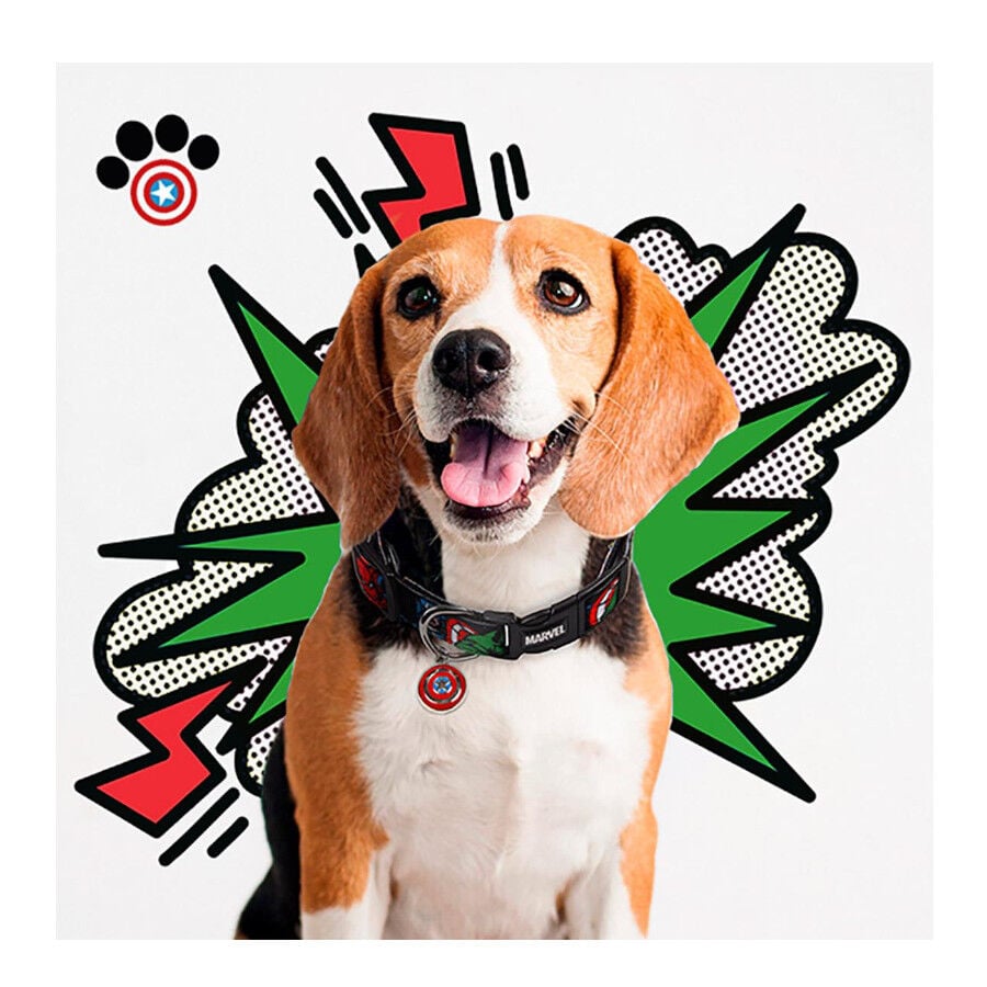 Collar marvel para perros. Varias tallas.  indicador imagen numero 2