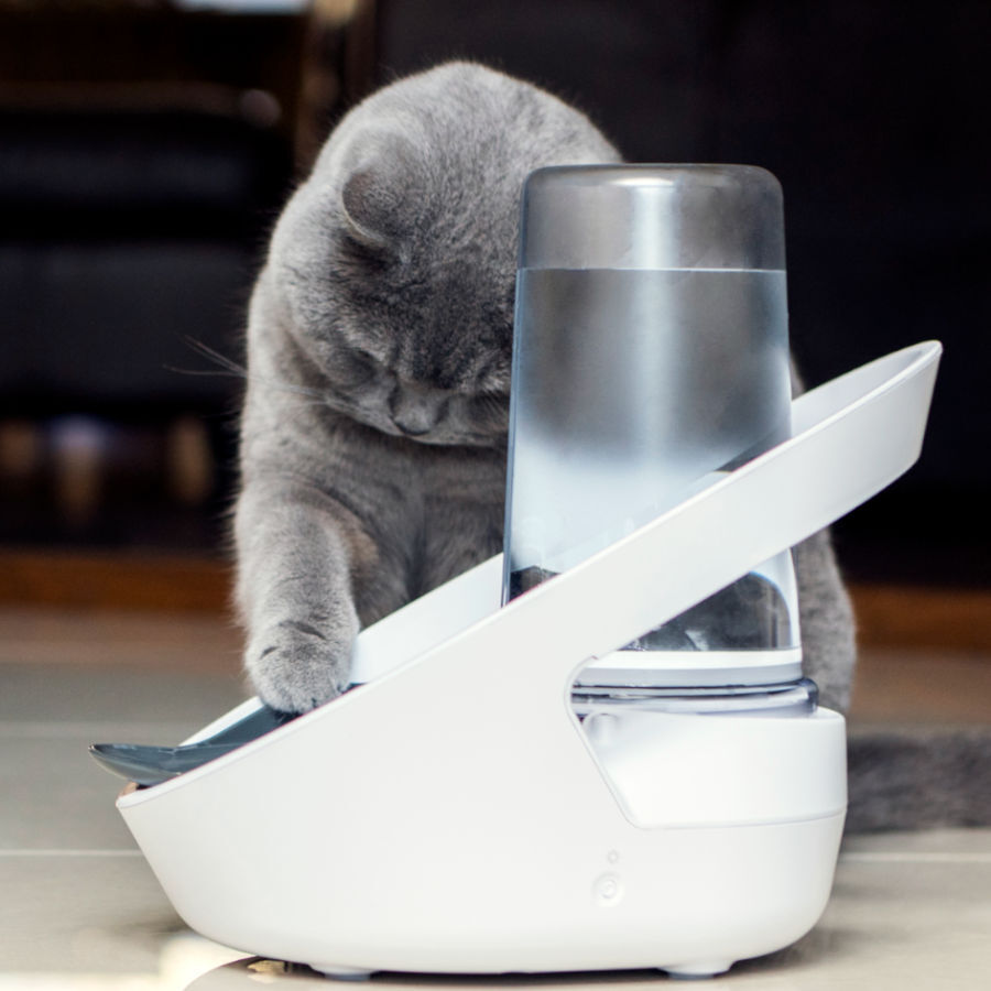 Sure Petcare Felaqua Connect Bebedero Autom&aacute;tico para gatos indicador imagen numero 6