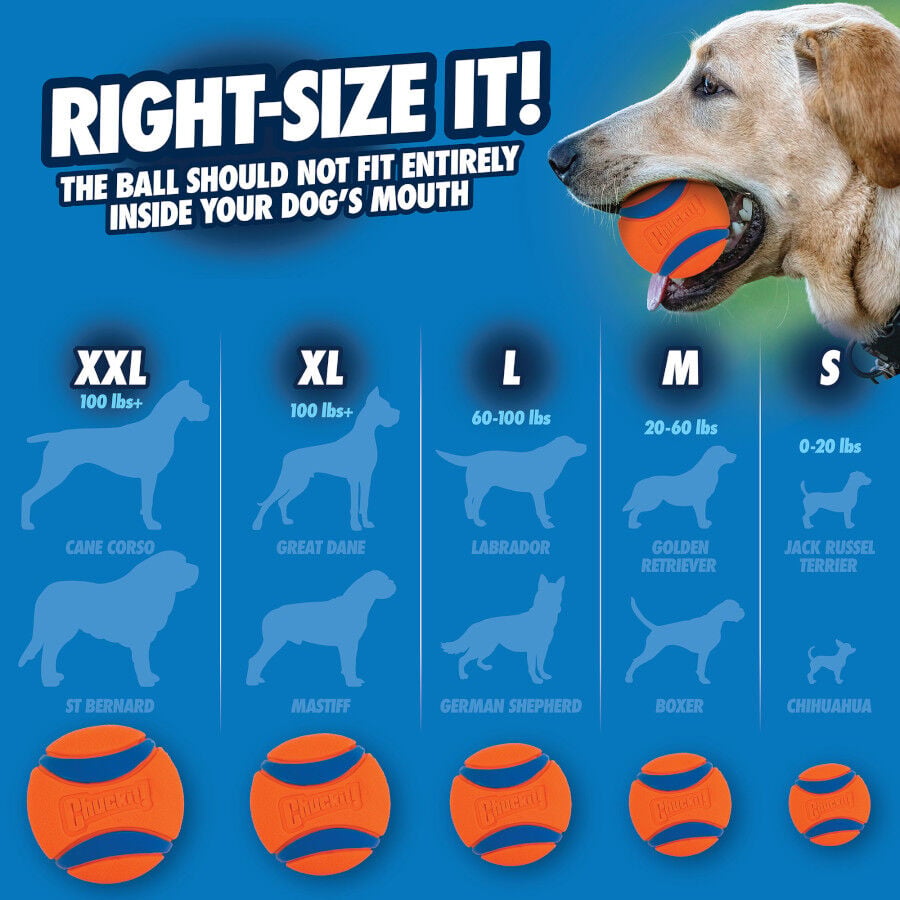 Chuckit! Ultra Pelota Grande con Brillo para perros, , large Imagen numero 5