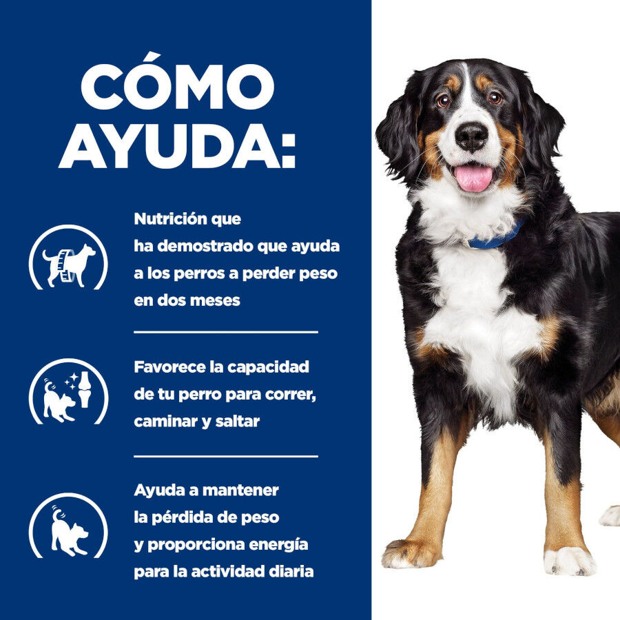 12 kg Hill's Prescription Diet j/d Metabolic + Mobility pienso para perros, , large Imagen numero 3
