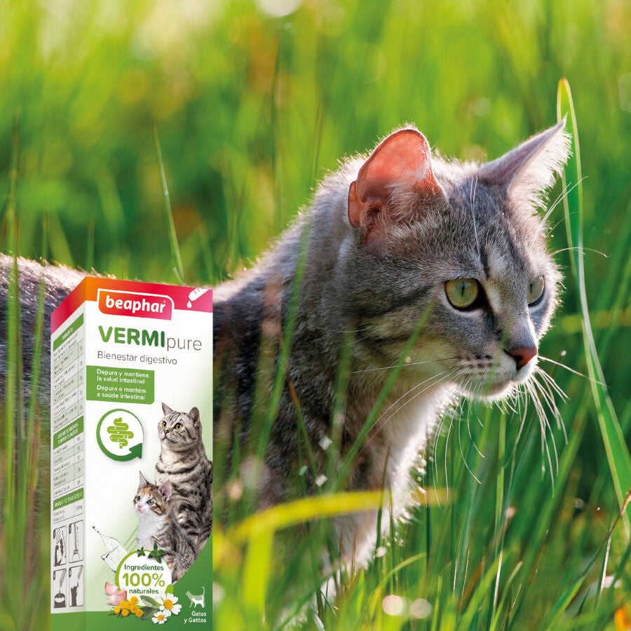 Beaphar Vermipure Repelente Interno Natural L&iacute;quido para gatos, , large indicador imagen numero 6