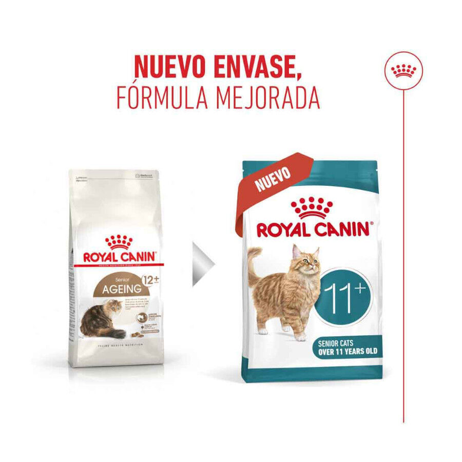 4 kg Royal Canin Ageing 11+ pienso para gatos&nbsp;senior, , large indicador imagen numero 3