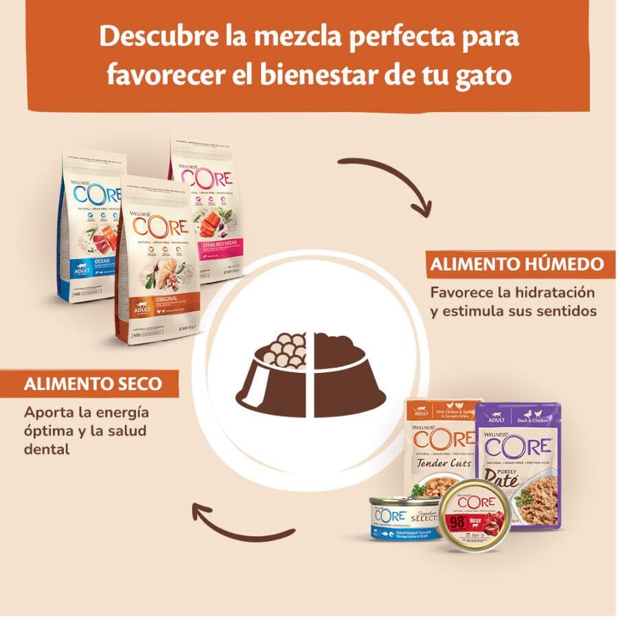 79 g Wellness Core Flaked Salm&oacute;n lata para gatos, , large Imagen numero 5