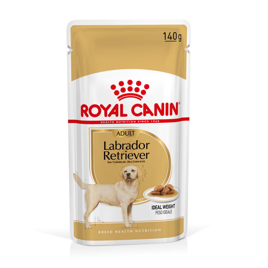 140 g Royal Canin Labrador Sobres para perros, , large Imagen numero 1