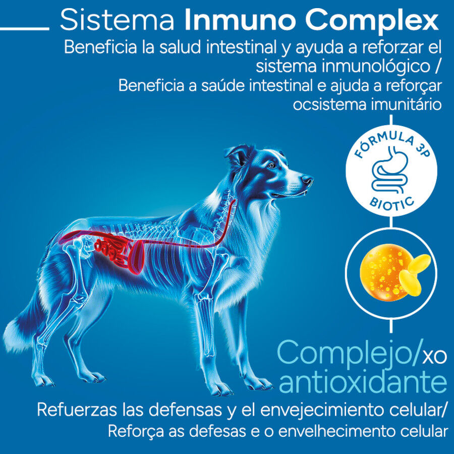 12 kg Criadores Cient&iacute;fico Light -46% contenido graso Adulto Medium-Maxi Pienso Pollo para perros, , large indicador imagen numero 3