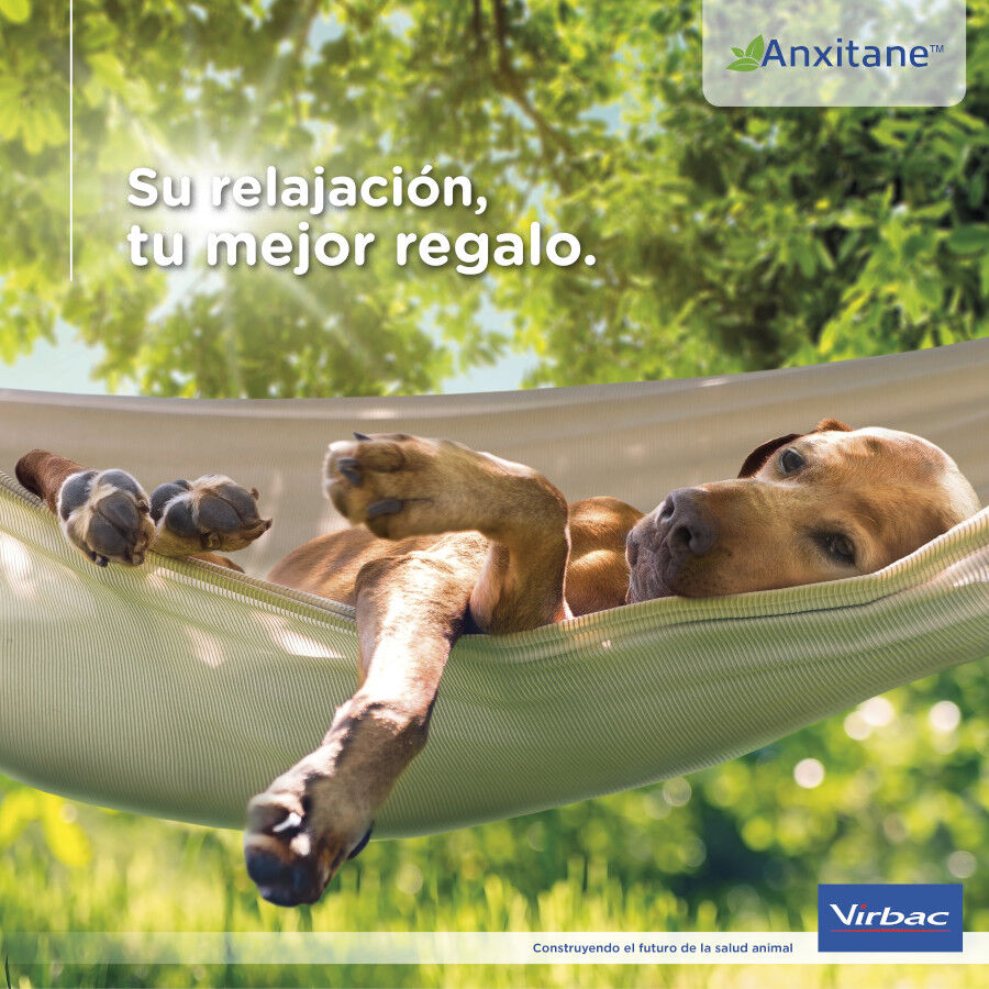S Virbac Anxitane Relajantes en Comprimidos para perros y gatos, , large indicador imagen numero 4