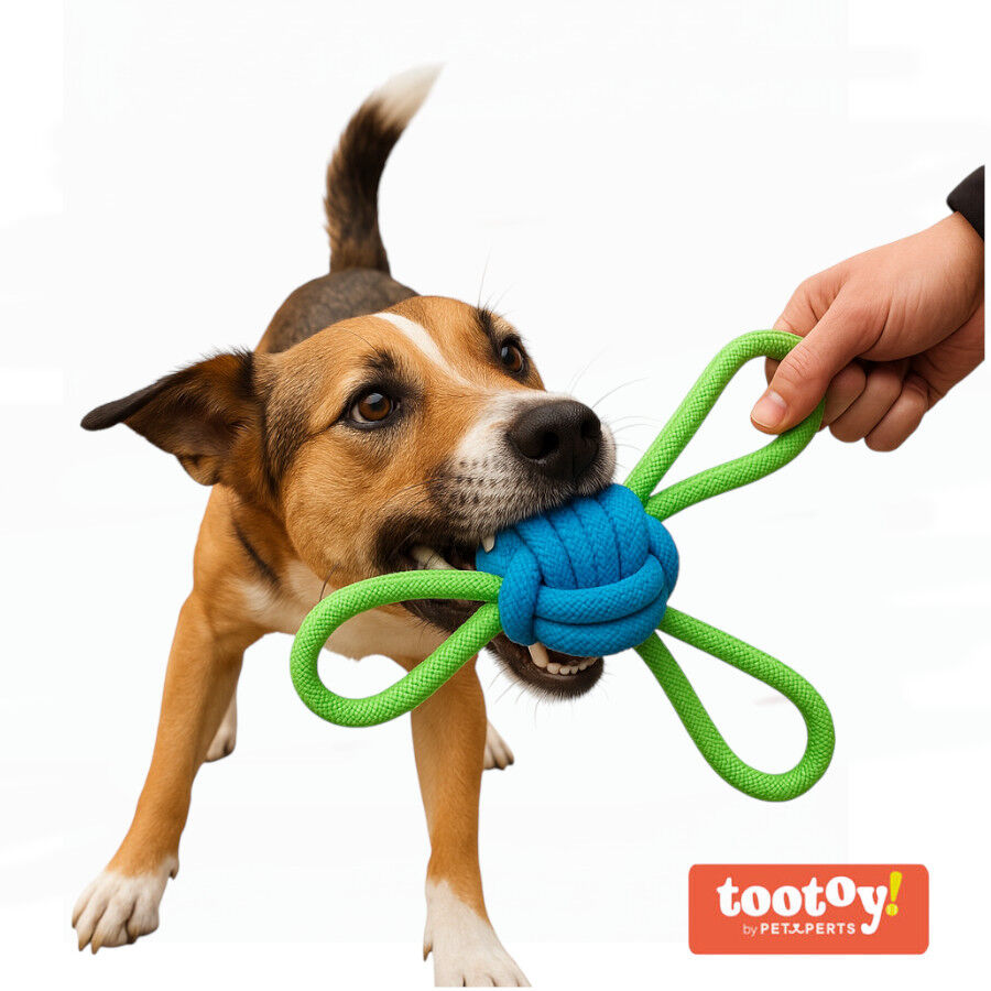 Tootoy! Mordedor de Cuerda M&uacute;ltiple con Pelota Verde y Azul para perros