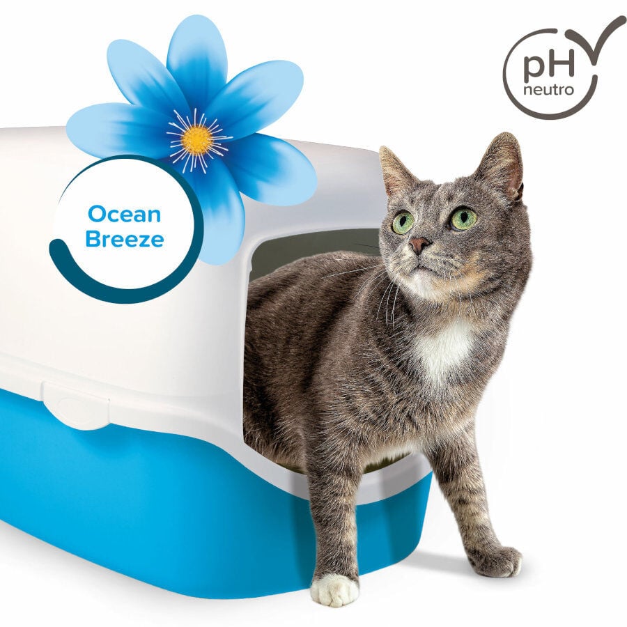 Beaphar Multi Fresh Brisa Marina Neutralizador de olores para gatos, , large indicador imagen numero 3