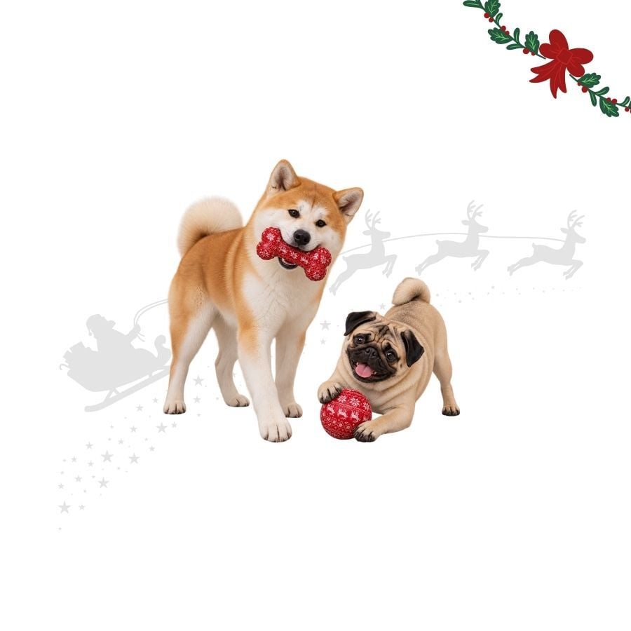 Wonder Christmas Hueso y Pelota Juguete para perros, , large indicador imagen numero 1